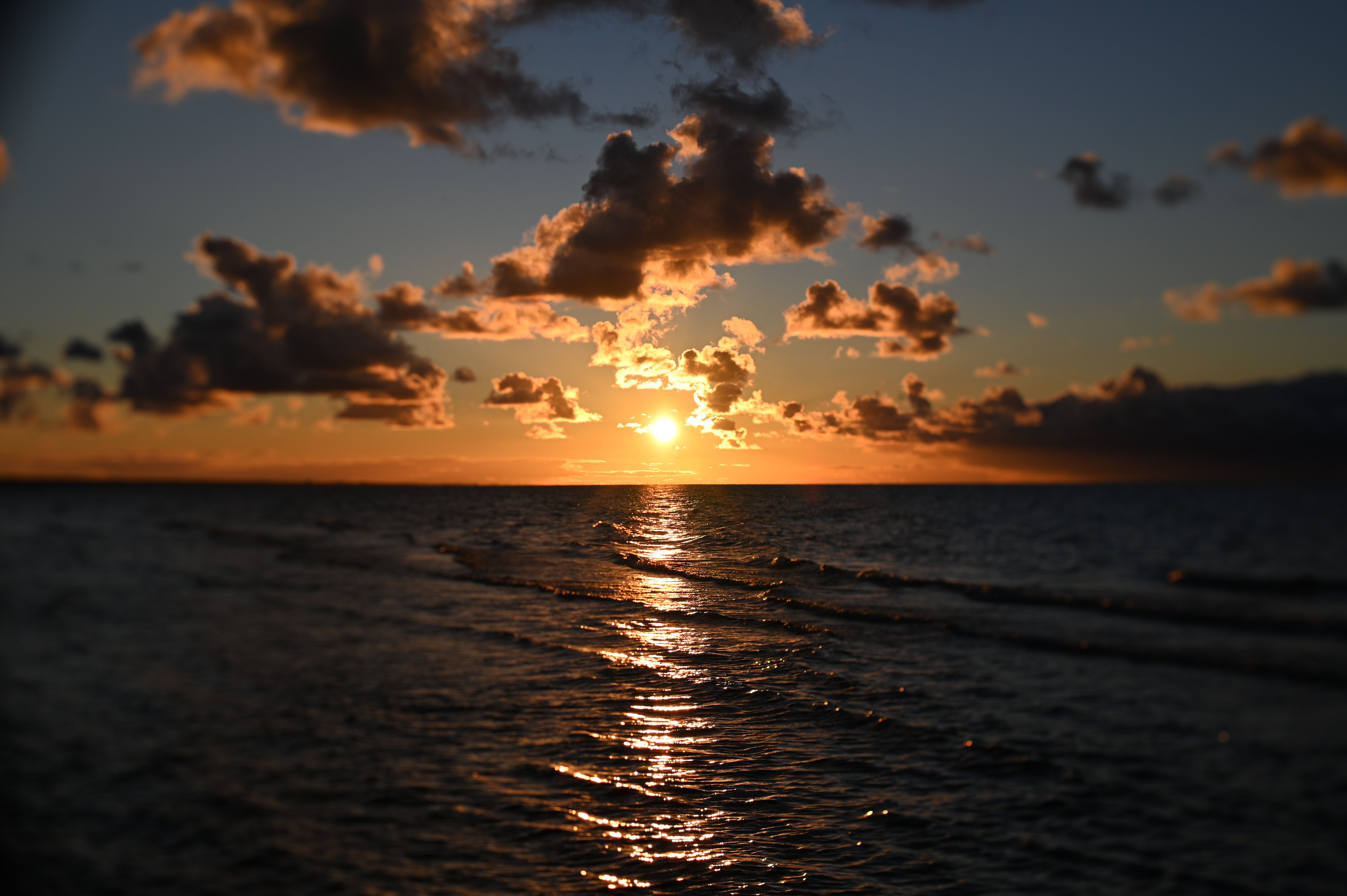 2025/10/18 - walk/DSC_0371.JPG